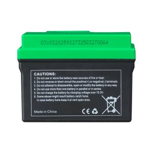 Аккумулятор FUBAG li-ion 3Ah для инверторного генератора TI 11000 A ES (арт. 646211) купить в Твери